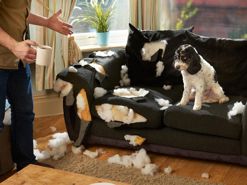 Halloween 2025 Box 3